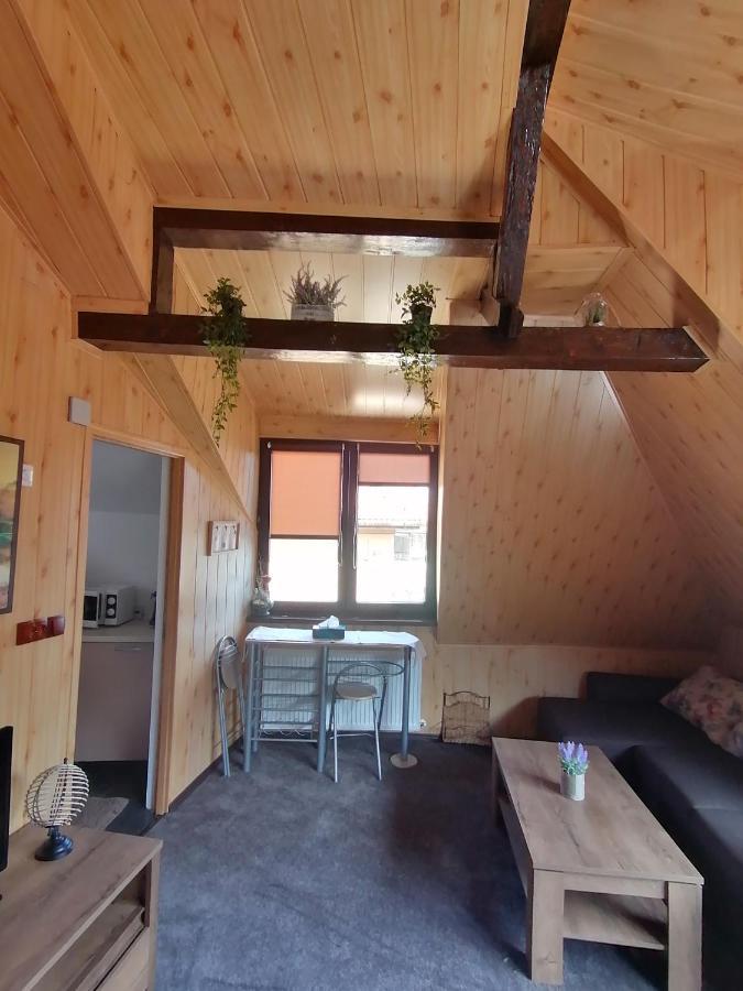 Cozy Attic Studio Brasov Exterior photo